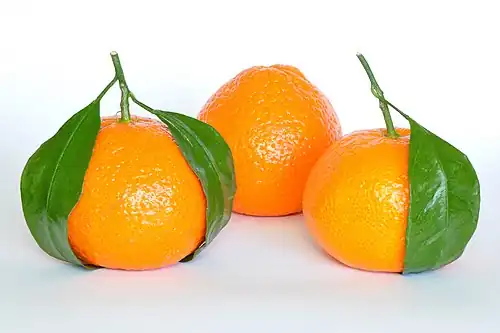 Mandarin orange is a true species (Citrus reticulata); it is one of the progenitors of most cultivated citrus