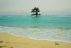 Panoramio of Marore beach in Marore Island