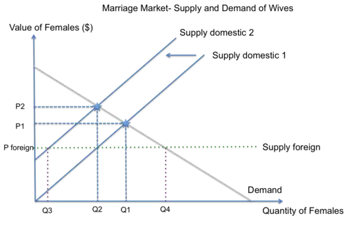This graph shows the marriage market for women in India and how the lack of females due to female foeticide results in a lower supply of women. The gap is bridged by men kidnapping or importing wives from other regions.