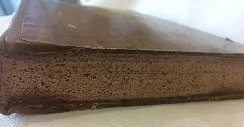 Patterned, trimmed page edge