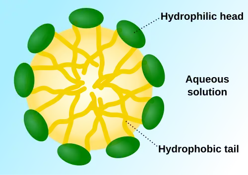 A micelle – the lipophilic ends of the surfactant molecules dissolve in the oil, while the hydrophilic charged ends remain outside in the water phase, shielding the rest of the hydrophobic micelle. In this way, the small oil droplet becomes water-soluble.