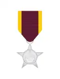 Military Service Star