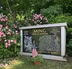 Resting place of Ming