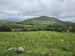 Moel Offrwm of Nannau from Precipice Walk