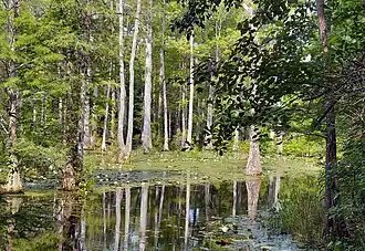 Several boat trails available.