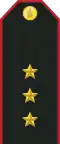 Mongolian Army-1LT-service