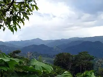 Mountain view from PR-129 in Piletas, Lares