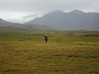 Flat grass-covered terrane with a rugged, glaciated mountain in the background.