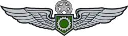 Army Aviation Enlisted Aircrew's Badge (Master)
