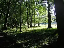 Näverkärr in Bohuslän, Sweden, is a Natura 2000 site.