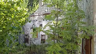 Interior of the first floor, unroofed and overgrown.