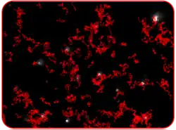 Typical image produced by NTA showing particles being tracked.