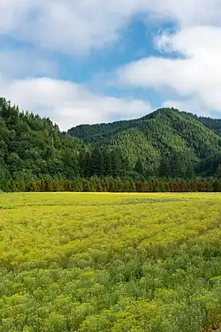 Agricultural field just off Nashville Road in Nashville