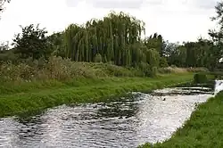 New River in King's Meads