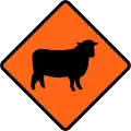Watch for large animals (sheep)