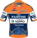 Nippo–Vini Fantini–Faizanè jersey