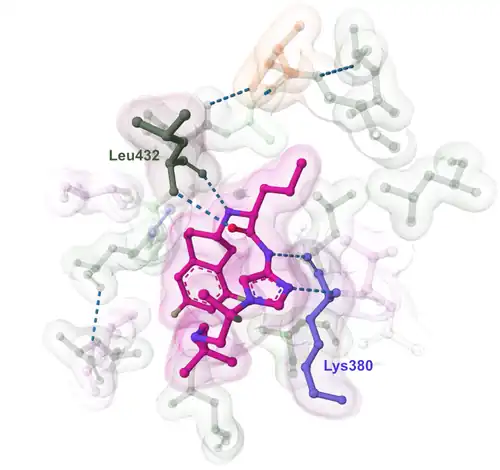 Nirogacestat pharmacophore