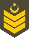 Baş çavuş (Azerbaijani Land Forces)[13]