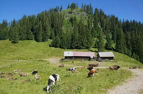 Alpe Obere Reuterwanne