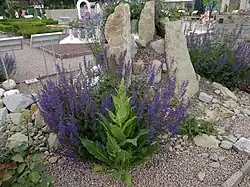 Biblical garden in Muszyna, Poland.