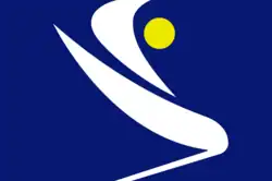 Old flag of the Rassemblement pour la Culture et la Démocratie .