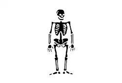 Interpretation of the pirate flag of Olivier "La Buse" Levasseur, described as a "white ensign with a figure of a dead man spread in it"; one of the few mentions of a black-on-white Jolly Roger flag.[57]