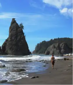 A man walking on a beach along a rocky coastline