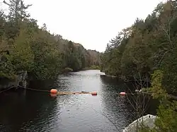 Otter Creek near Middlebury