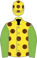 Yellow, brown spots, light green sleeves