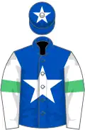 Royal blue, white star, white sleeves, emerald green armlets, royal blue cap, white star