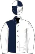 White and dark blue (halved), white sleeves, quartered cap