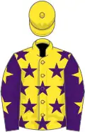 Yellow, purple stars, purple sleeves, yellow stars, yellow cap
