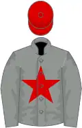 Grey, red star, red cap