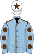Light blue, brown seams, brown spots on sleeves, white cap, brown star