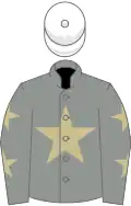 Grey, beige star, grey sleeves, beige stars, WHITE cap