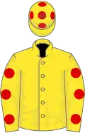 Yellow, Red spots on sleeves and cap