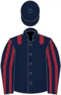 Dark blue, maroon epaulets, striped sleeves