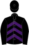 Black, purple chevrons on body