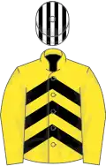 Yellow, black chevrons, black and white striped cap