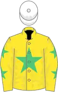 Yellow, emerald green star, stars on sleeves, white cap