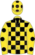 Yellow and black check, yellow sleeves, black spots, yellow cap, black spots