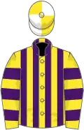 Yellow and purple stripes, hooped sleeves, yellow and white quartered cap