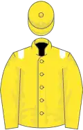 Yellow, white epaulets