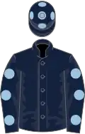 Dark blue, light blue spots on sleeves and cap