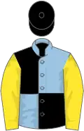 Light blue and black (quartered), yellow sleeves, black cap
