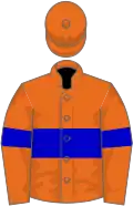 Orange, blue hoop on body and sleeves, orange cap