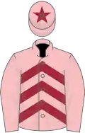 Pink, Maroon chevrons, Pink sleeves, Pink cap, Maroon star