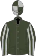 Rifle green, silver striped sleeves, quartered cap