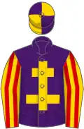 Purple, gold cross of lorraine, red and gold striped sleeves, purple and gold quartered cap