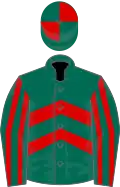 Dark green and red chevrons, striped sleeves, quartered cap
